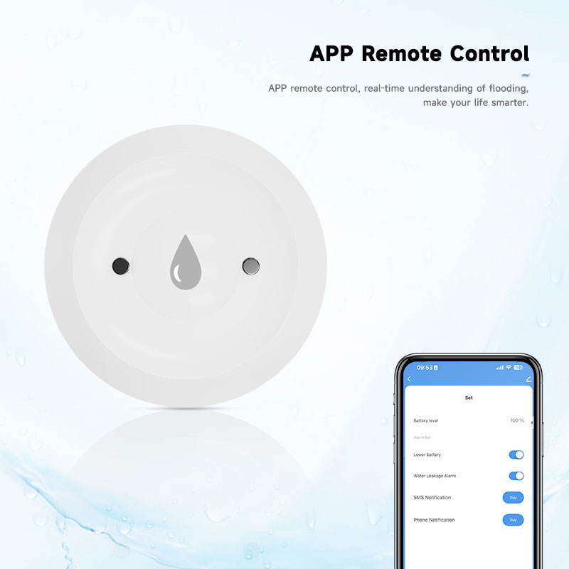 Tuya Zigbee2mqtt Water Immersi - Water Alarm Sensor recensie en prijs