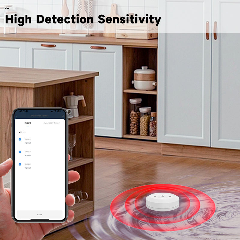 Tuya Zigbee2mqtt Water Immersi - Water Alarm Sensor recensie en prijs