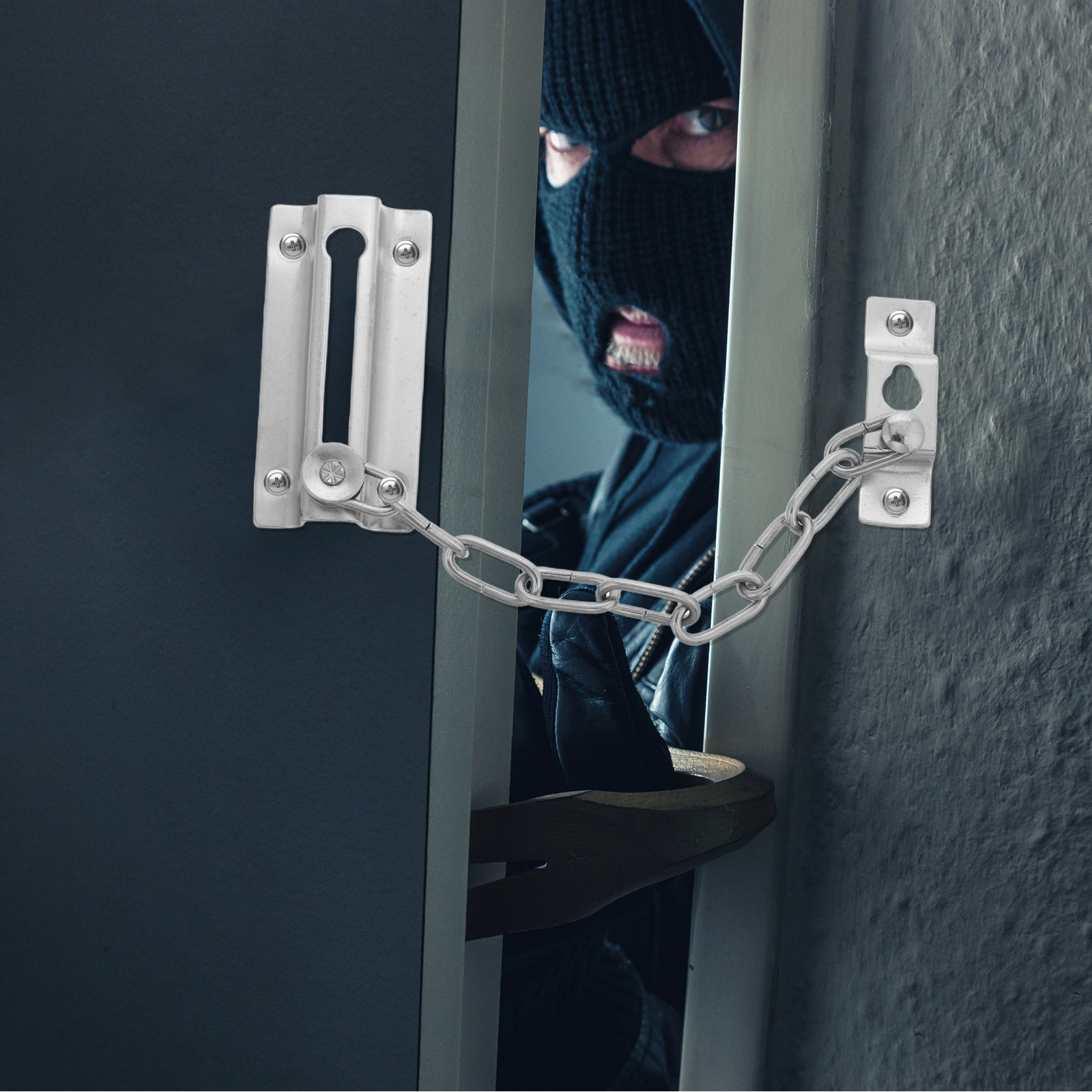 Heavy Duty Stainless Steel Ant - Security Chain Door recensie en prijs