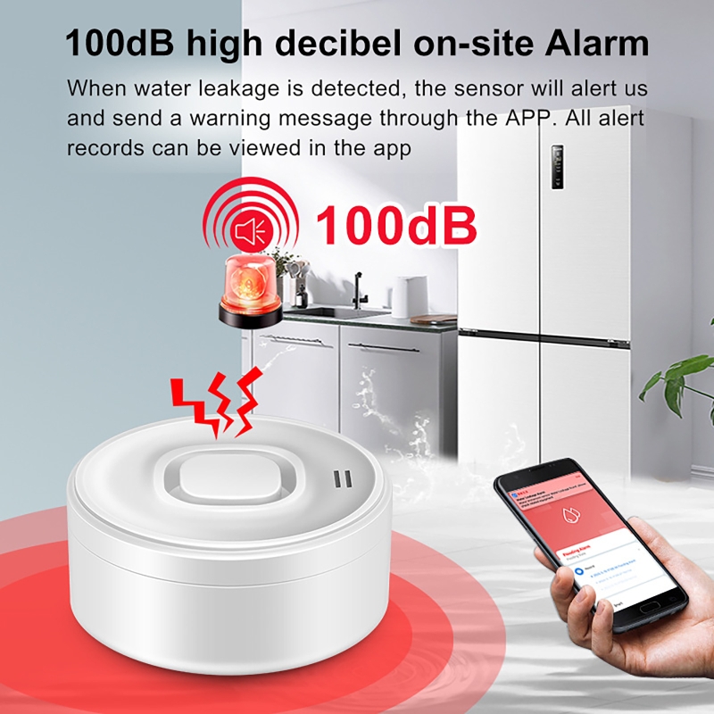 Smart WIFI Water Leak Detector - Water Alarm Sensor recensie en prijs