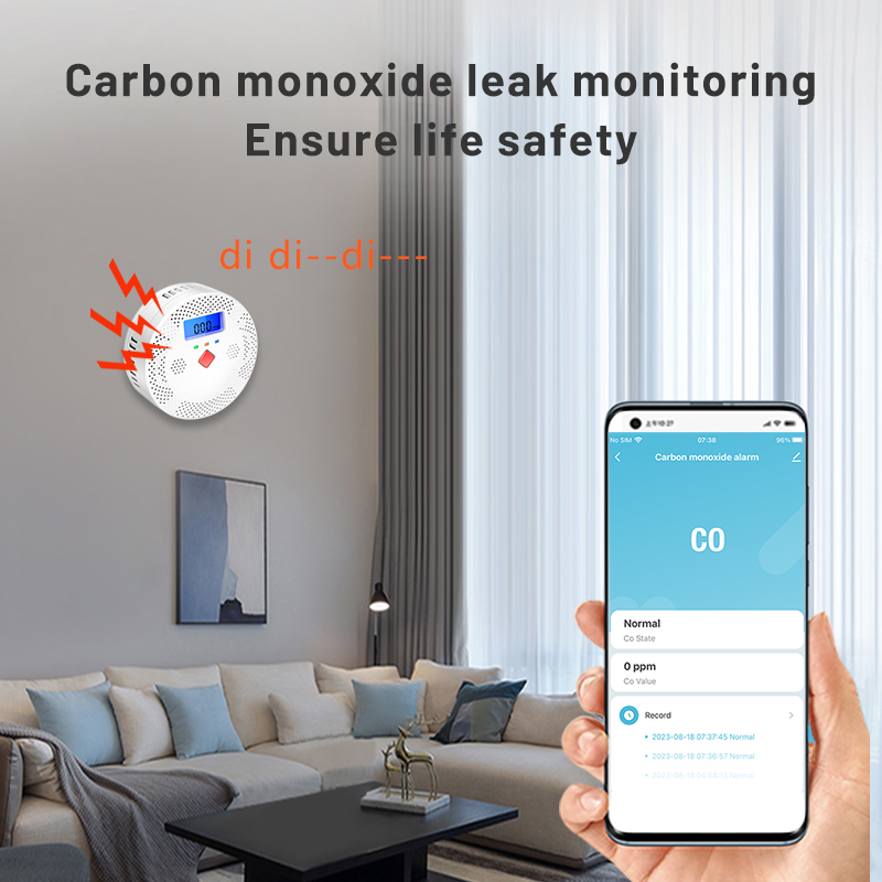 Tuya WiFi Smart Carbon Monoxid - Co Detector Plug recensie en prijs